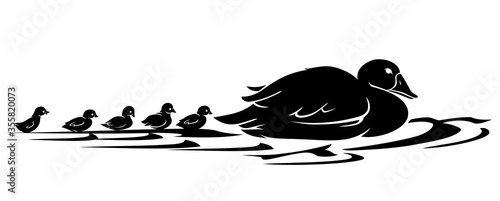 Mother and Cute Duckling on Water