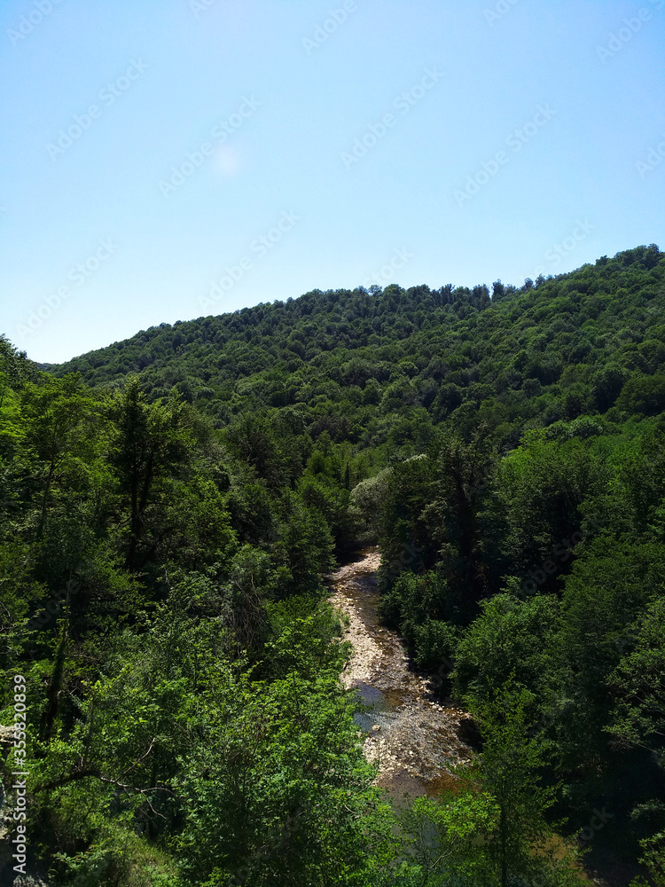 Mountain river in the forest Mountain river in the forest