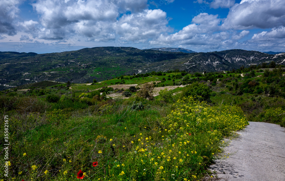 Forest-covered green hills on a bright Sunny summer day in the mountains of Central Cyprus.