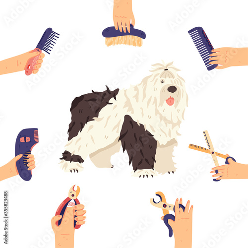 Bobtail and groomers hands with grooming tools around. Fun long fur dog breed flat vector illustration. For pet care salon, shops, landing, banners, promo poster, sticker, social network