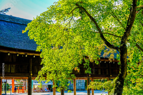 京都　上賀茂神社 © ndk100