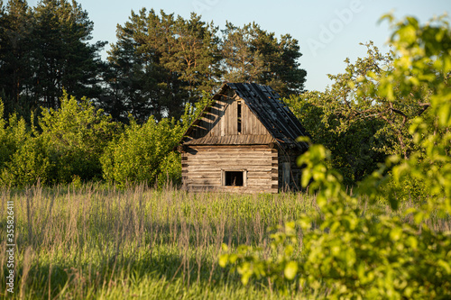 old abandoned house on a background of grass and trees