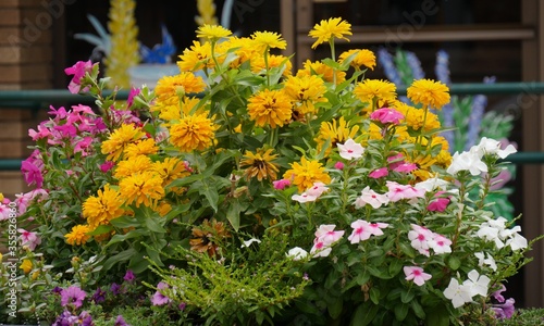 Profusion of colorful flowers by the roadside