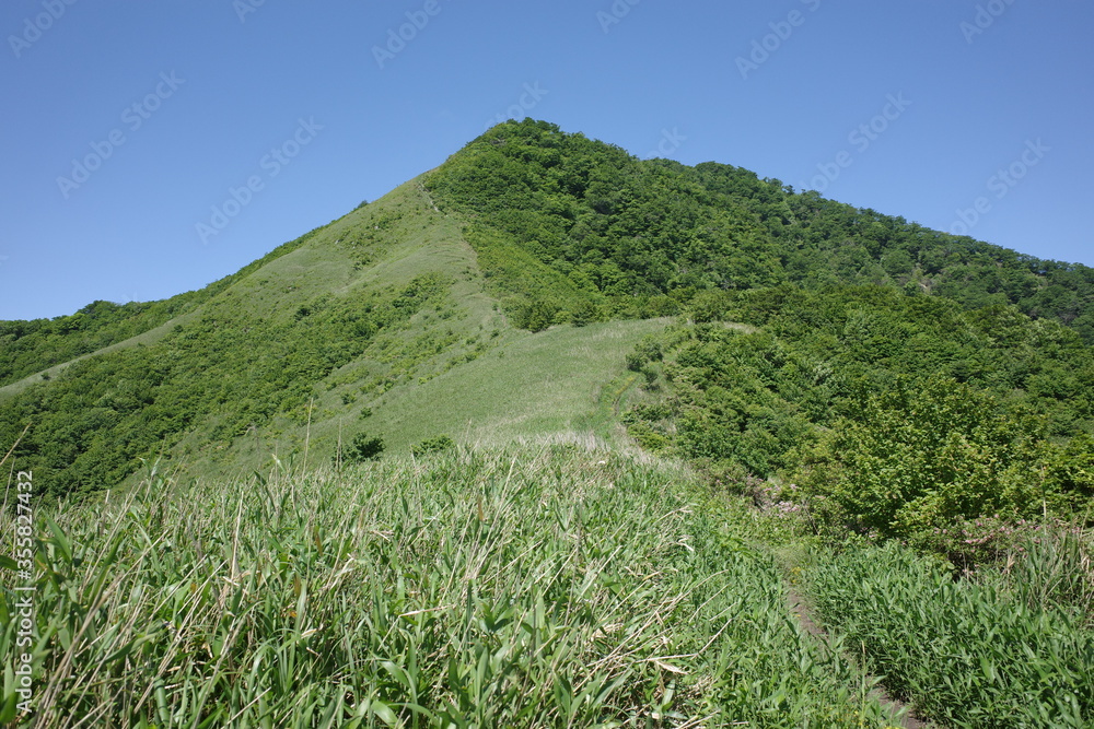 Fototapeta premium 日本の岡山県の下蒜山