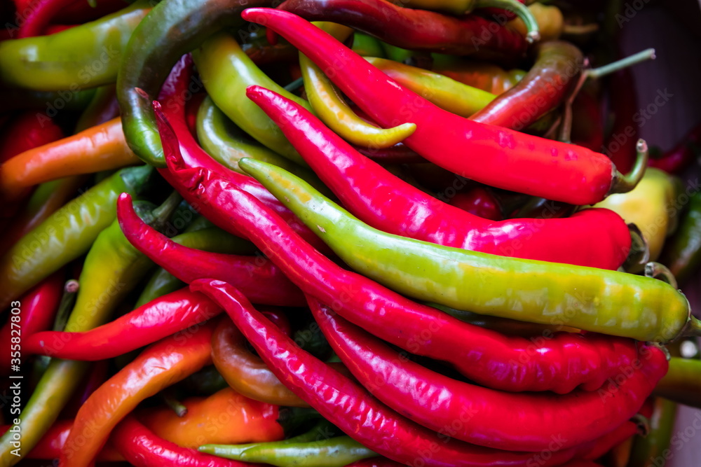 a colorful mix of the freshest and hottest chili peppers a colorful mix of the freshest and hottest chili peppers
