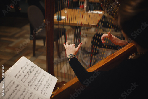 Fototapeta young girl in a black bodysuit with red manicure plays on an old wooden harp in
