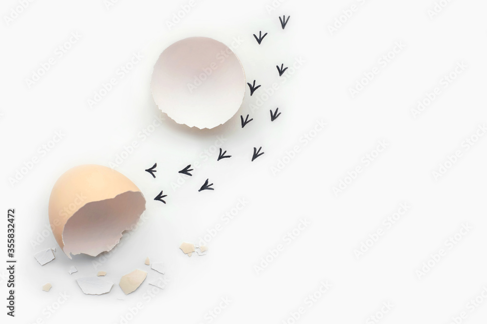 Footprints from an egg shell. First steps of a chick on a white isolated background. Concept of way out of the comfort zone, a new life, progress