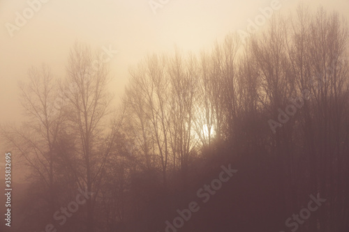 hazy winter sunrise