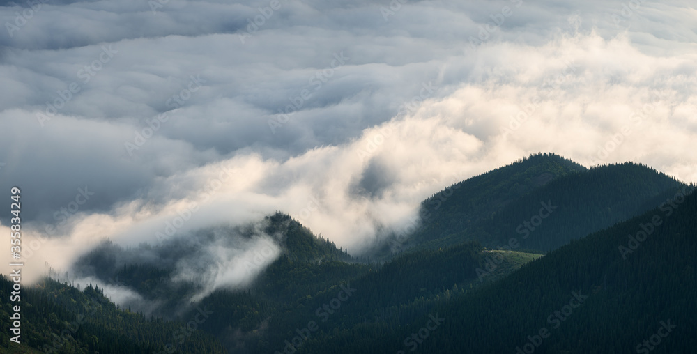 Mountain valley in the mist. Forest and clouds. Beautiful natural landscape at the summer time during sunrise. View from high mountains. Travel image Mountain valley in the mist. Forest and clouds. Beautiful natural landscape at the summer time during sunrise. View from high mountains. Travel image
