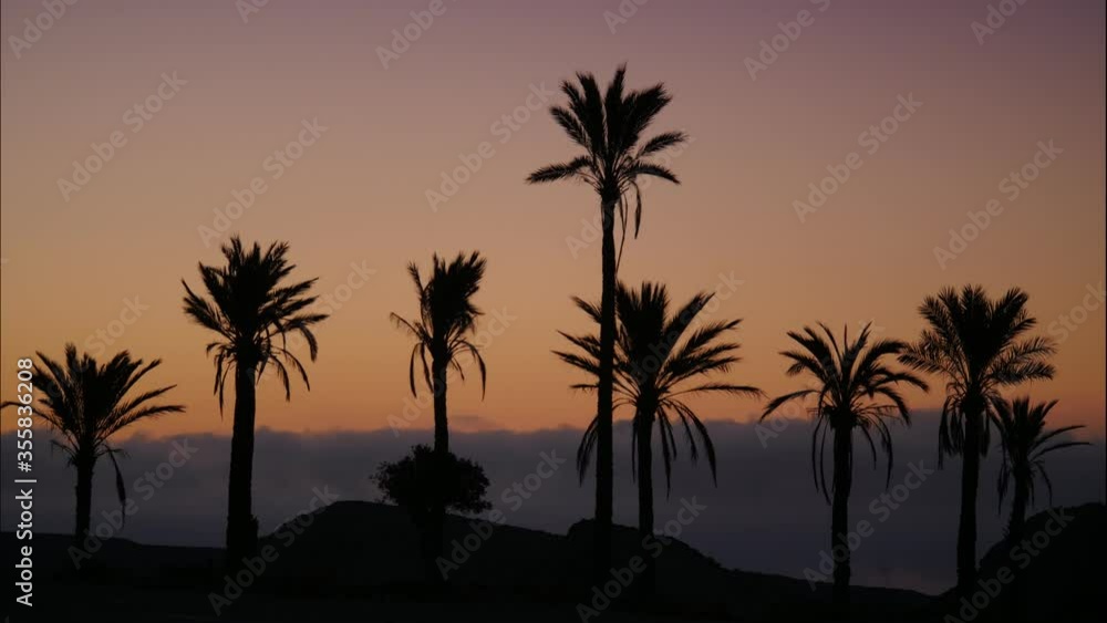 Landscape with palm trees in Sierra Alhamilla mountain range, Spain. Early morning, first light. Time lapse