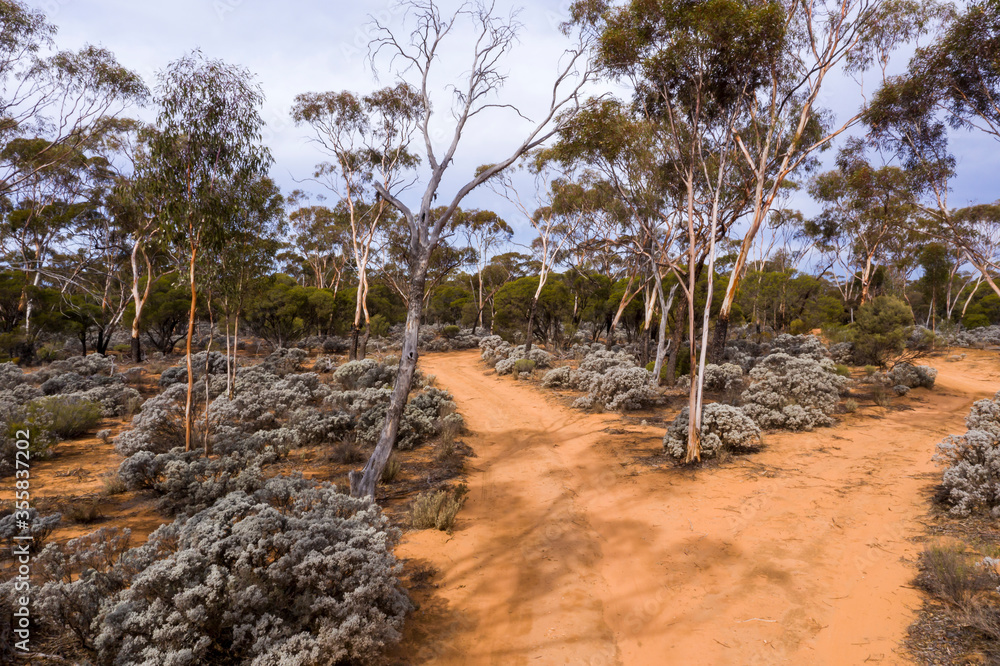 Aerial view of Mallee woodlands in Western Australia Aerial view of Mallee woodlands in Western Australia