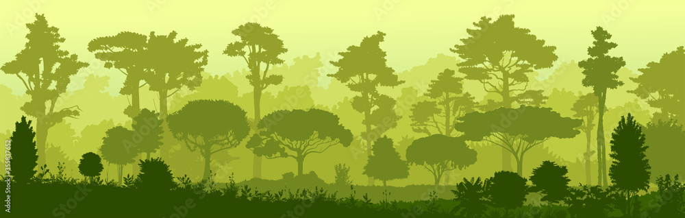 Obraz premium Forest jungle vector. Silhouette. Landscape, view of the tropical thicket. Trees, shrubs. Wet predawn fog. Background image.