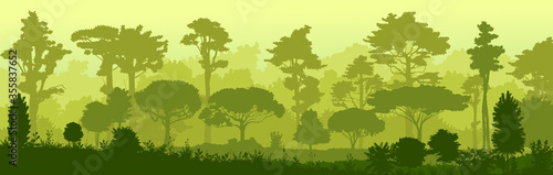 Forest jungle vector. Silhouette. Landscape, view of the tropical thicket. Trees, shrubs. Wet predawn fog. Background image.