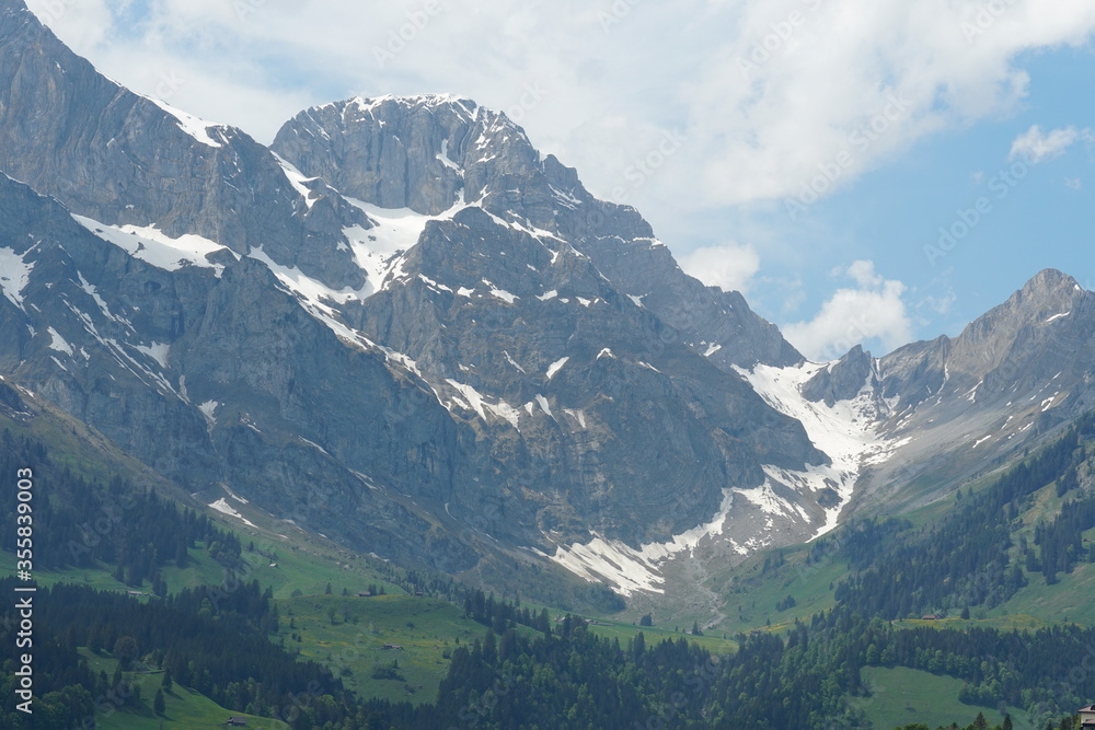 Alpine mountian valley in Engelberg region Obwalden canton in Switzerland. The rocky slopes are partly covered with snow and the meadowsare bright green with lush green grass