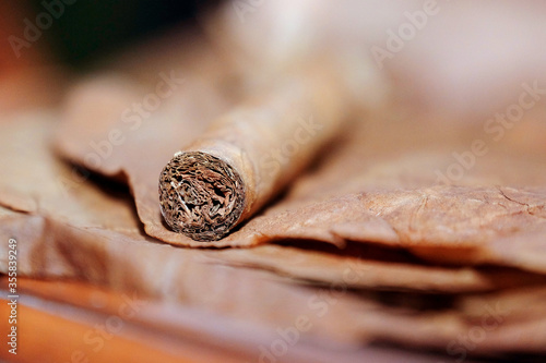 Close up of Cigar on the tobacco leaves