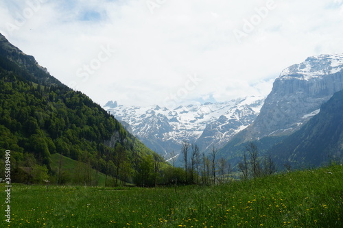 Alpine landscape In the springtime with a meadow, hills covered by coniferous woods and mountains covered with snow on the nackground. Taken in region Engelberg, Obwalden canton in Switzerland.
