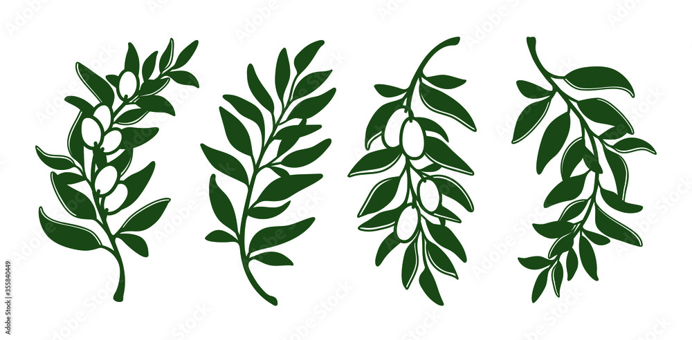 Laser cutting template of leaves, branches and olives. Set of hand drawn floral design elements isolated on white. Vector foliage silhouette of herbs. Ecology art for wood carving, stamp for die cut Laser cutting template of leaves, branches and olives. Set of hand drawn floral design elements isolated on white. Vector foliage silhouette of herbs. Ecology art for wood carving, stamp for die cut
