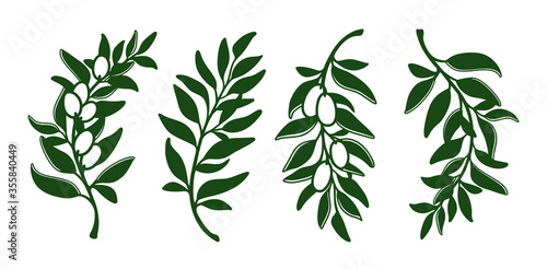 Laser cutting template of leaves, branches and olives. Set of hand drawn floral design elements isolated on white. Vector foliage silhouette of herbs. Ecology art for wood carving, stamp for die cut