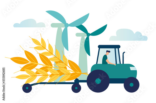Vector illustration, a process of harvesting crops on a tractor, ears with whole grains and leaves, yellow wheat, rye or barley