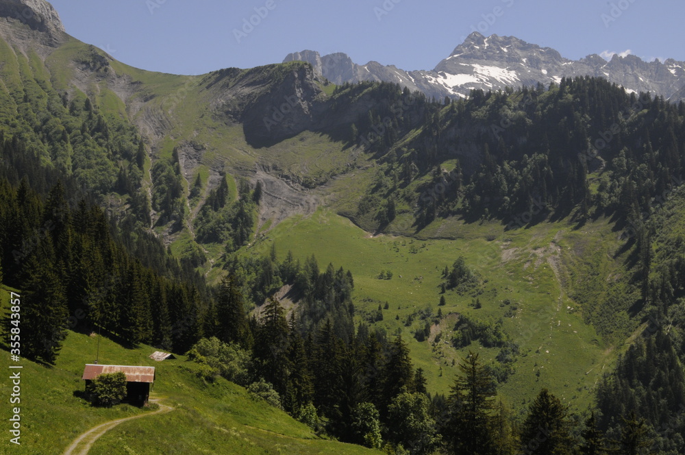 Vue panoramique sur un val de montagne montrant une ferme, un chemin, des forêts de sapins, de la neige, des rochers dans les alpes suisses.