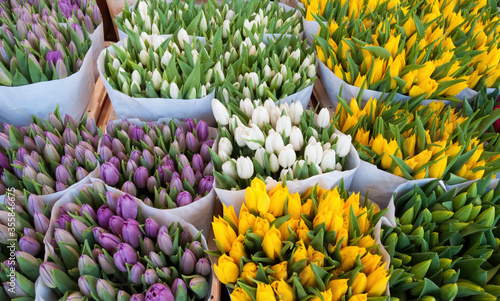 Fototapeta Naklejka Na Ścianę i Meble -  colored tulips in the Amsterdam market
