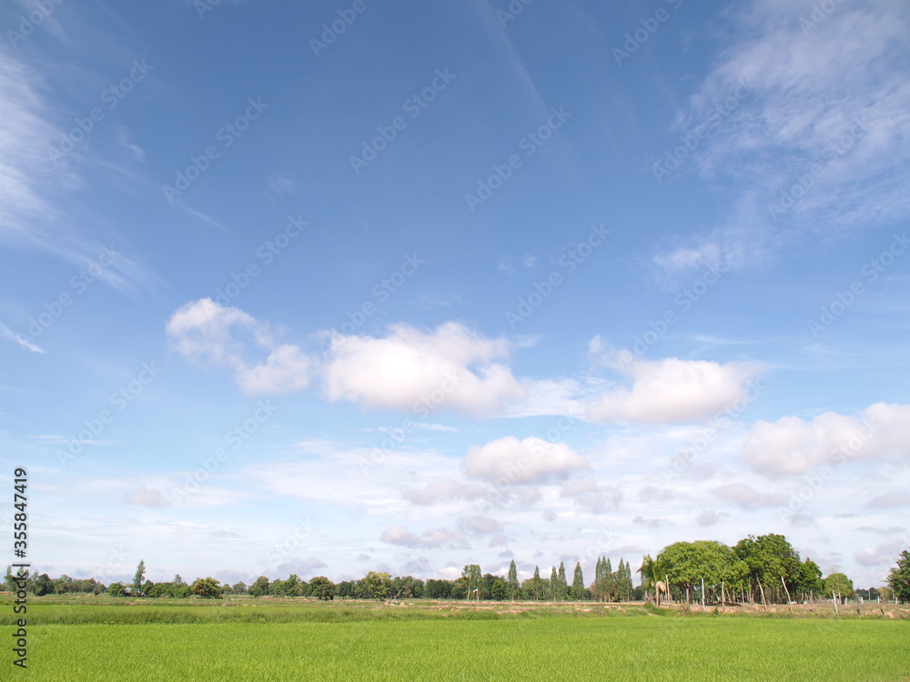 green field and blue sky