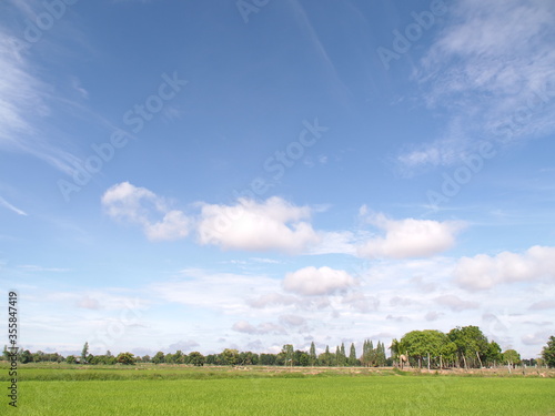 green field and blue sky