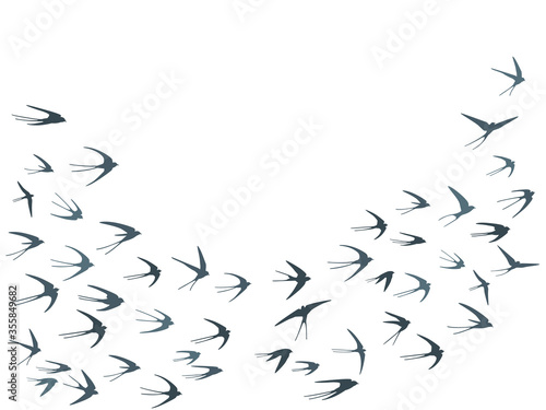 Flying martlet birds silhouettes vector illustration. Migratory martlets swarm isolated on white. 