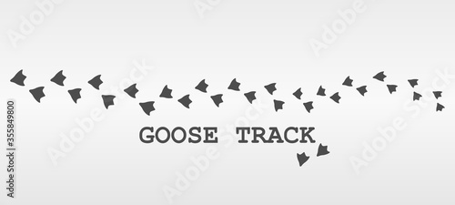 Vector illustration of a trace of a goose or duck on a light gray background.