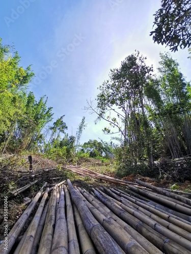 Beautiful green forest and blue sky above during a trekking in Tambunan, Sabah. Malaysia, Borneo. The Land Below The Wind.