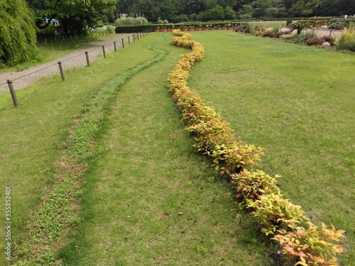 Wallpaper Mural road in the field Torontodigital.ca
