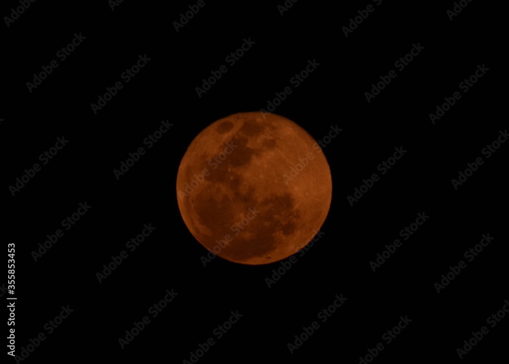Obraz premium Super red moon (January 2019)