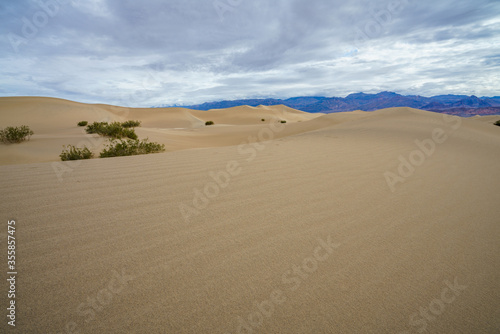 mesquite flat sand dunes in death valley national park in california  usa