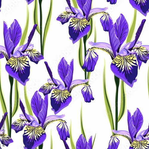 Seamless botanical watercolor style pattern with iris flowers and leaves. 