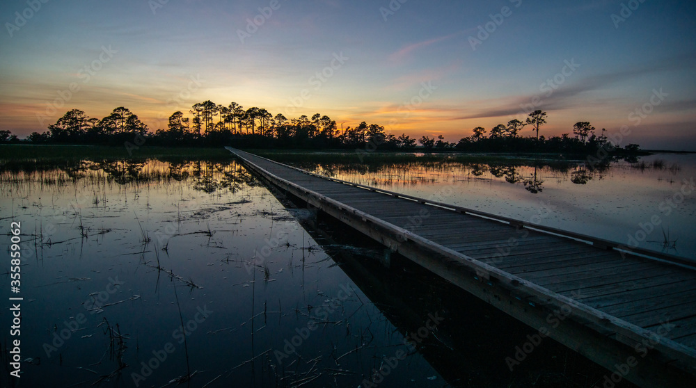 Hunting island south carolina beach scenes