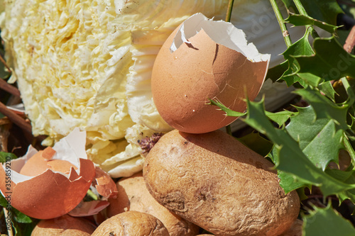 View into a bio container  with various organic wastes such as potato and salad for recycling. photo