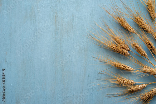 Wheat ears on blue wooden background with copy space.