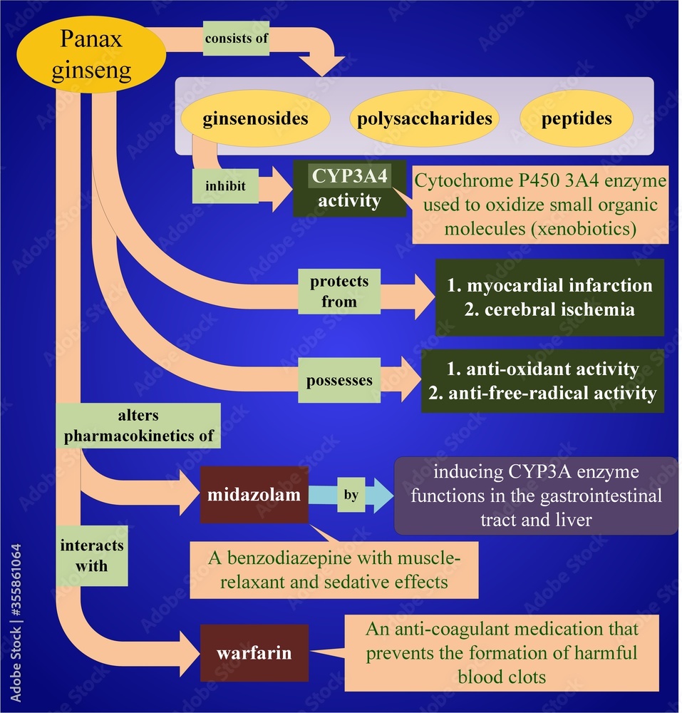 Uses of Panax ginseng and its interaction with midazolam and warfarin (Source of information is