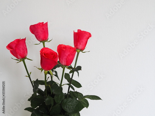 Congratulation to the holiday.Five pink roses on a gray background. Place for text.