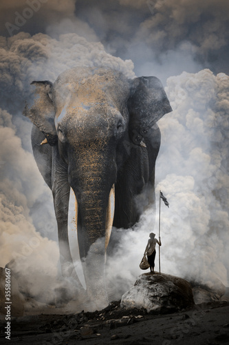 Photography elephant in the smoke