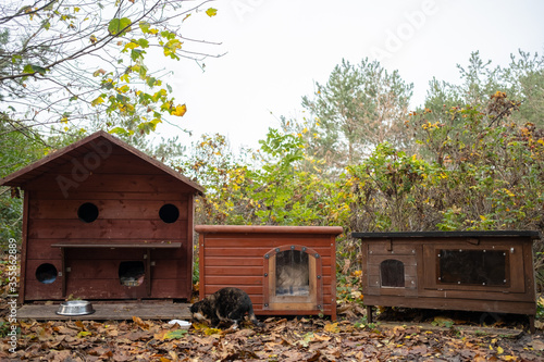 houses for homeless cats