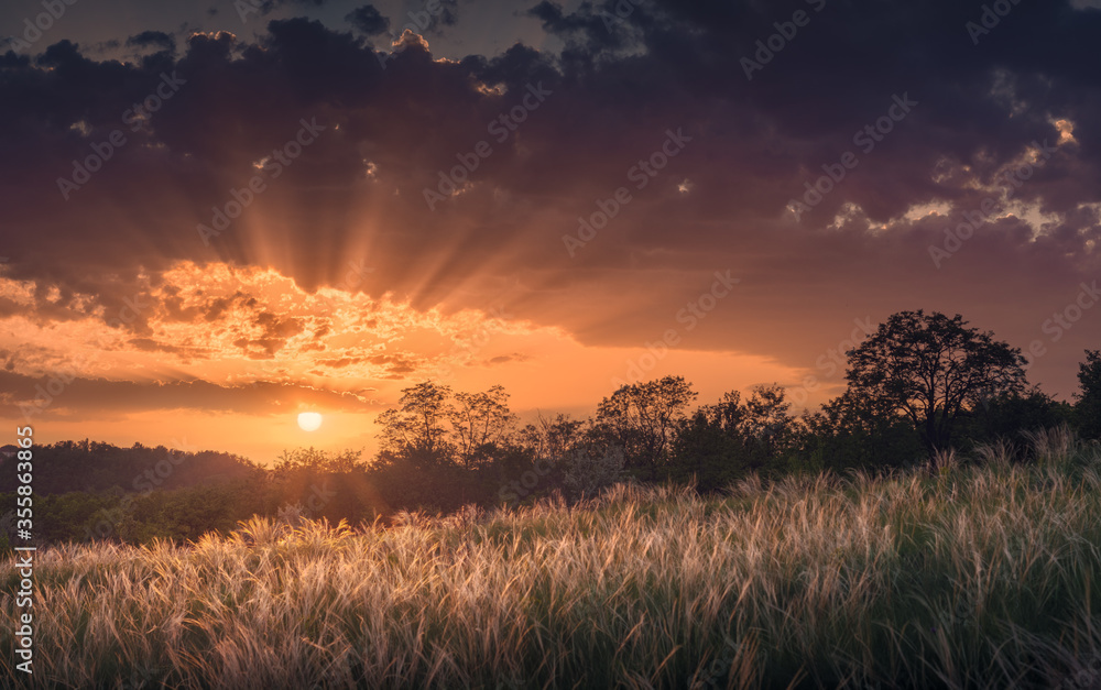 Wonderfull sunset in a steppe