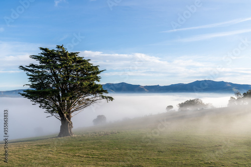 Silhouette of mountains in the misty morning. View of the mountains in early winter. Beautiful nature landscape. Bank Peninsula, Robinsons bay, Canterbury, Ndw Zealand.