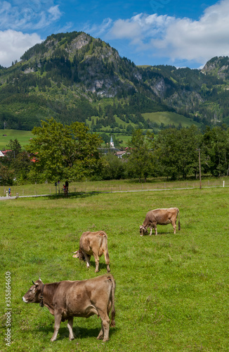 Idylle im AllgÃ¤u. Hinderlang. Bayern, Deutschland photo