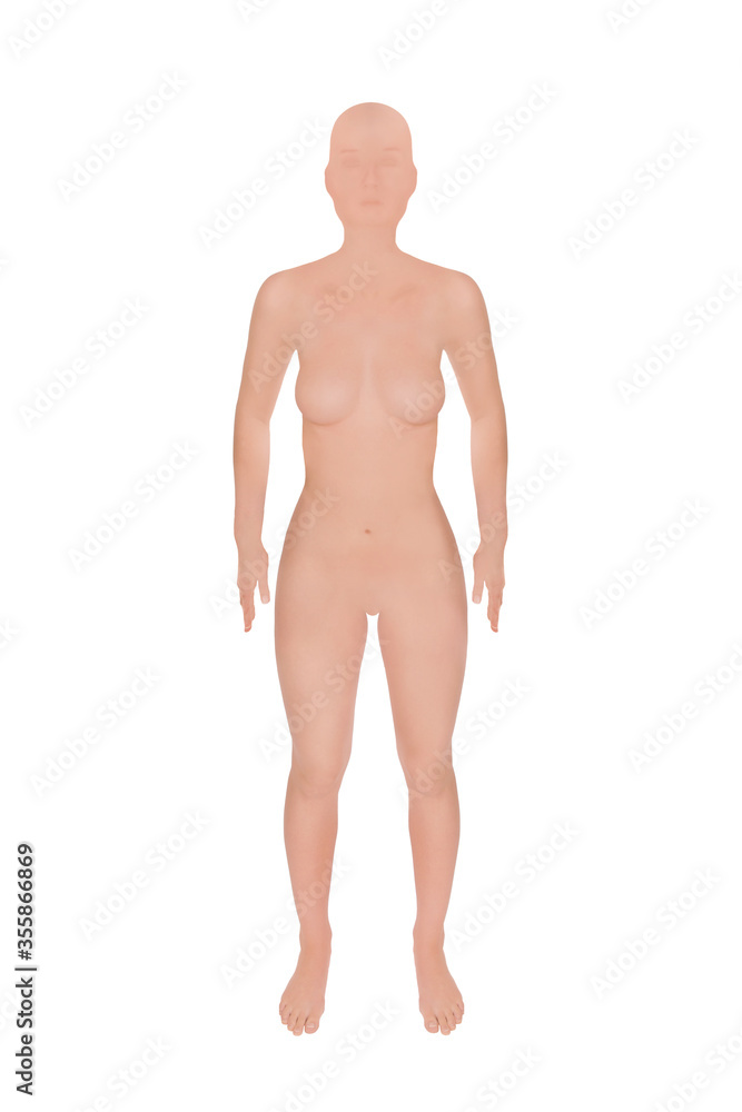 Standing female mannequin, frontal view, isolated in front of white background Standing female mannequin, frontal view, isolated in front of white background