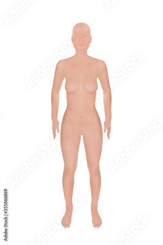 Standing female mannequin  frontal view  isolated in front of white background