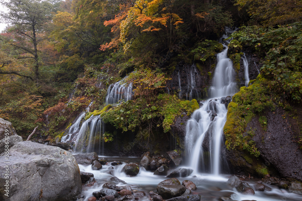 Naklejka premium 【2019年】山梨県北杜市・秋の吐竜の滝