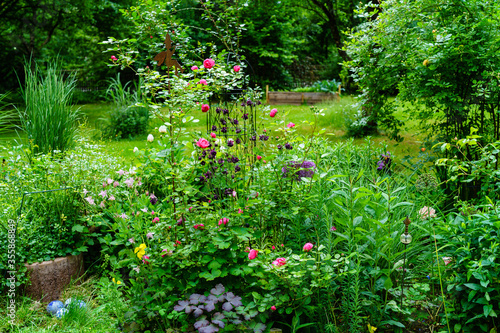Sommer im romantischen Garten mit Rosenbeeten und Staudenbeeten, üppige Staudenbeete in erster Blüte mit Isalndmohn, Akelei und Rosen