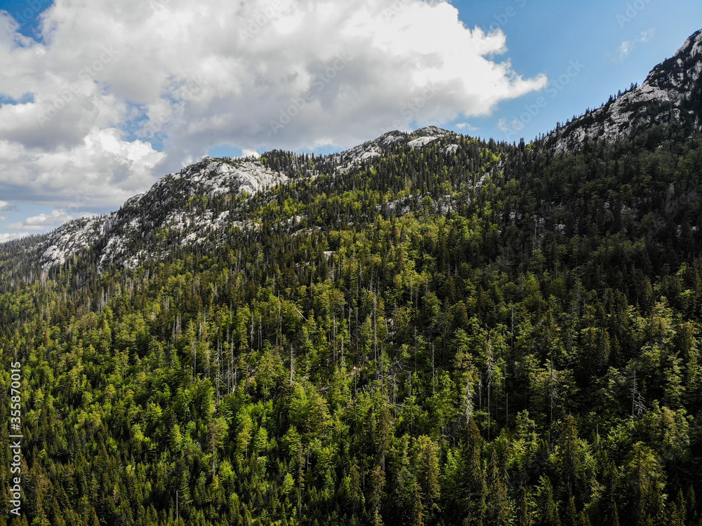 Obraz premium Velebit is the largest mountain in Croatia and is a part of a bigger mountain chain of Dinarides. The photo was taken above meadows in Lomska duliba, Northern Velebit mountain
