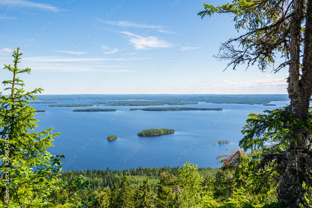 Obraz premium Koli National Park and Lake Pielinen, view from Ukko-Koli Hill, North Karelia, Finland